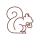 Squirrels