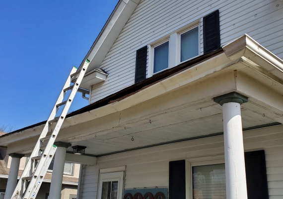 When squirrels chew into fascia or other areas, water enters and rots away the wood. This small problem turns into a major problem and can cost many thousands of dollars to repair. Our solutions remedy the problem quickly, avoiding the costly damage that w
