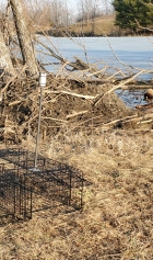 Education teaser image