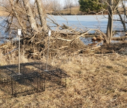 Education teaser image